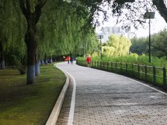 -黛秀湖公园