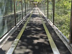-嵖岈山风景区