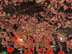 -卢大鲜鱼头捞饭(美利广场店)