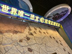 -诸城市恐龙博物馆