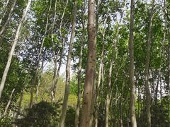 -仁和公园(顺义区)