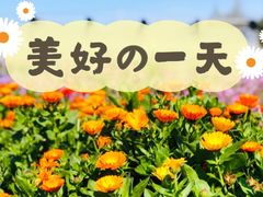 -前小桔亲子创意农场·草莓采摘·露营烧烤