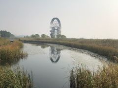 -太湖湖滨国家湿地公园-停车场