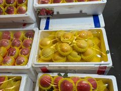 -双福水果批发市场