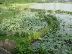 DSC05043-龙环葡韵住宅式博物馆