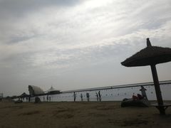 -碧海金沙