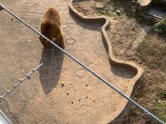 -无锡动物园·太湖欢乐园