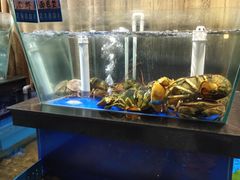 水产区-赶海海鲜