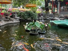 -白家大院·王府宫廷菜(苏州街店)