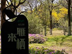 -海珠湖公园