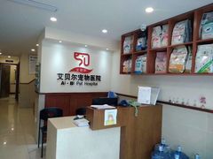 -艾贝尔宠物医院·24H转诊中心·肿瘤猫专科(江宁双龙店)
