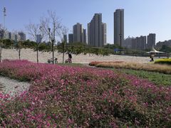 -文华公园(禅城区)