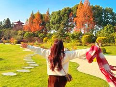 -南京银杏湖乐园