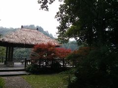 -千岛湖龙川湾