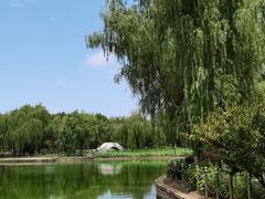-康庄公园