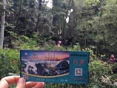 -梭布垭石林景区