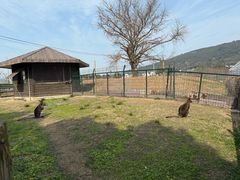 -苏州太湖西山岛开心农场
