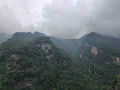 -牛背梁国家森林公园
