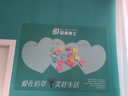 -佰草博士·专业祛痘祛斑培训