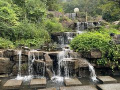 -大围山国家森林公园
