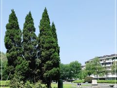 -临安城遗址(太庙遗址)