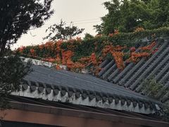 -海珠湖公园