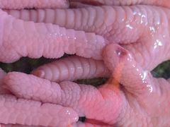 -阿串串老火锅(力盟店)