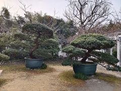 -水绘园