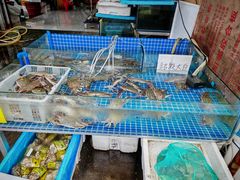 -上海龙吴水胜海发市场