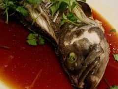 -上海宝华万豪酒店