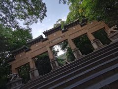 -灵谷景区