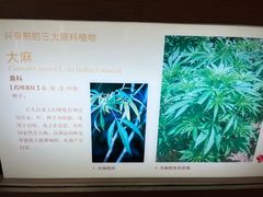 -广东省博物馆