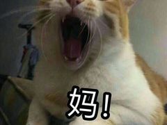 -VR间客漫虚拟现实体验馆(汉街店)