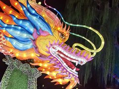 -肥福排档(星光店)