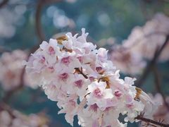 -红星桥(地铁站)