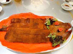 -金龙渔港(双楠店)