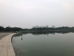 -尚贤河湿地