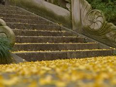 -无锡惠山寺