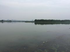 -东湖落雁景区