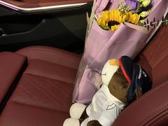 -天猫养车贴膜轻改·蓝电(优匹康桥东路店)