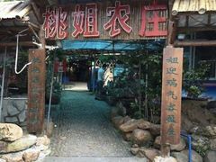 门面-桃姐农庄老字号(从化温泉店)