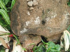 -南国桃园旅游度假区