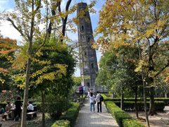 -上海佘山国家森林公园天马山园