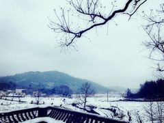 -塔川景区