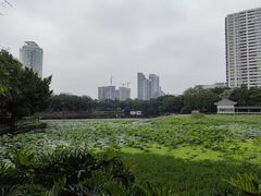 -荔湾湖公园