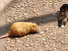 -西霞口神雕山野生动物世界