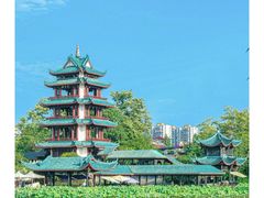 -桂湖森林公园