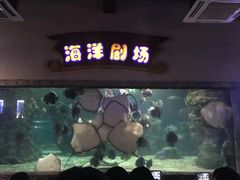 -南昌海洋公园