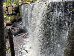 -汤旺河林海奇石景区