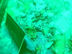 -金厨帽烤鱼(芦庄店)